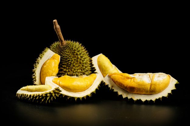 Durian (Stinkfrucht)