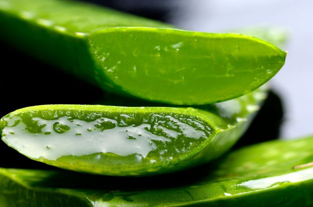 50 POSITIVE Effekte VON ALOE VERA