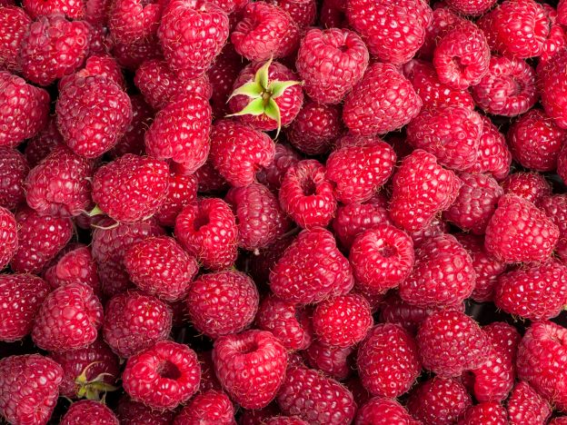 Himbeeren