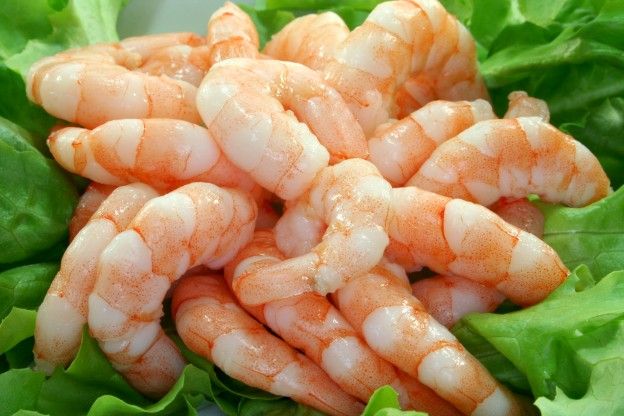 Shrimps