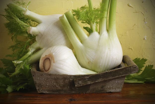 Fenchel