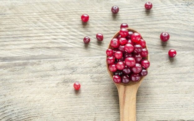 Getrocknete Cranberries