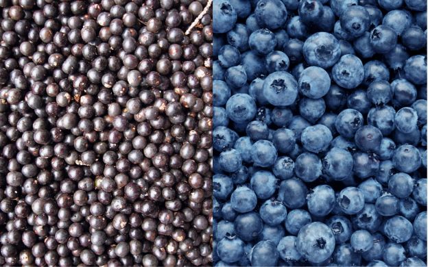 Acai vs. Blaubeeren