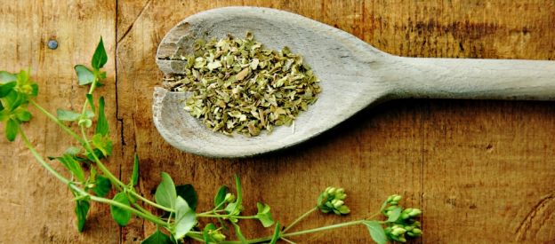 Oregano