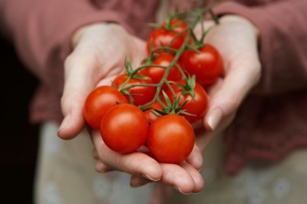 Tomaten