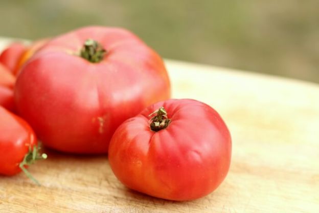 Lagert Tomaten bei Raumtemperatur mit dem Stiel nach unten