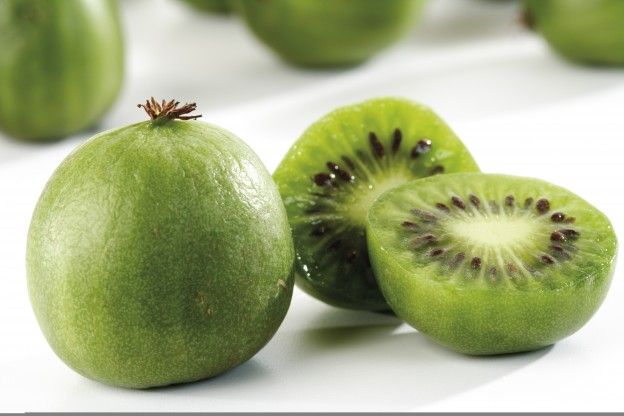 Kiwi