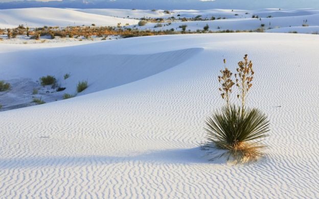 Tanze am White Sands Monument in New Mexico