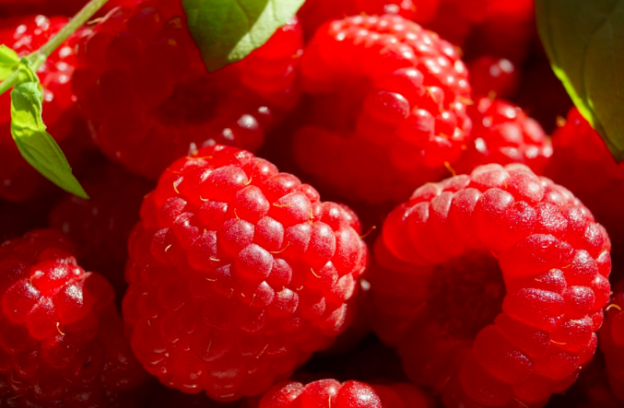 36.- HiMBEEREN