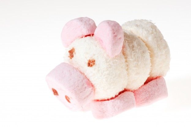 Marshmallow-Schweinchen