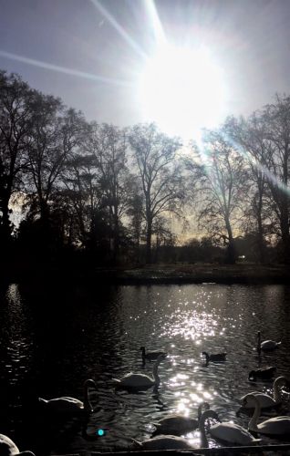 Bois de Vincennes