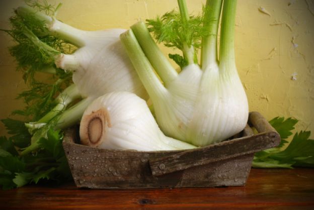 Fenchel