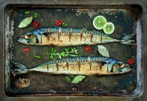 Natürliche Eiweißquellen: Fisch